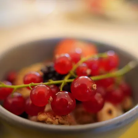 Gutshotel Menterschwaige - Heritage Boutique With Timless Elegance Hotel *